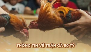 Trận Gà 50 tỷ - Cuộc đụng độ đẳng cấp bậc nhất lịch sử đá gà